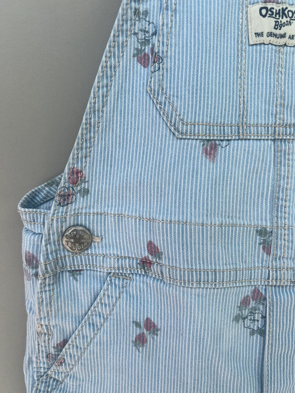 Oshkosh Strawberry Striped Shortalls 4T
