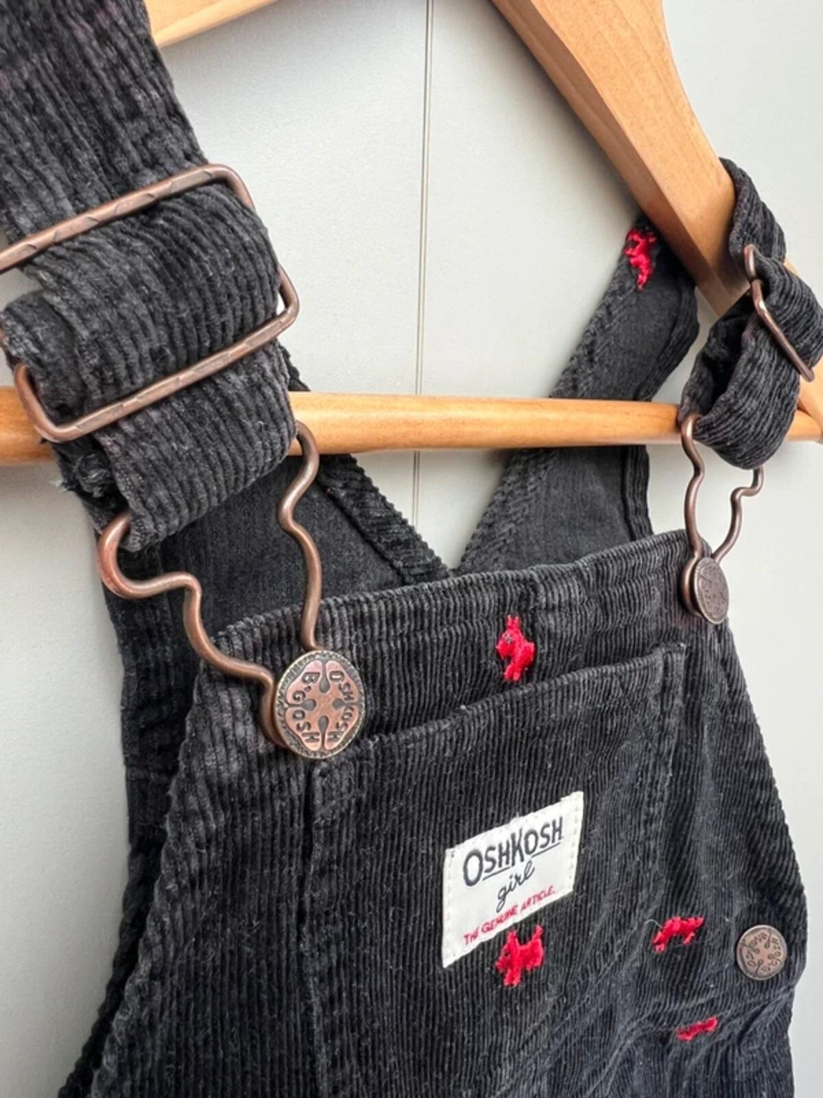 Oshkosh Corduroy Dog Dress 24M